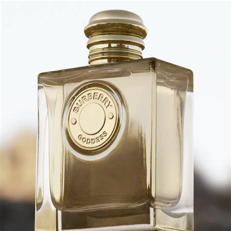 burberry 50 ml perfume|burberry for women 100 ml.